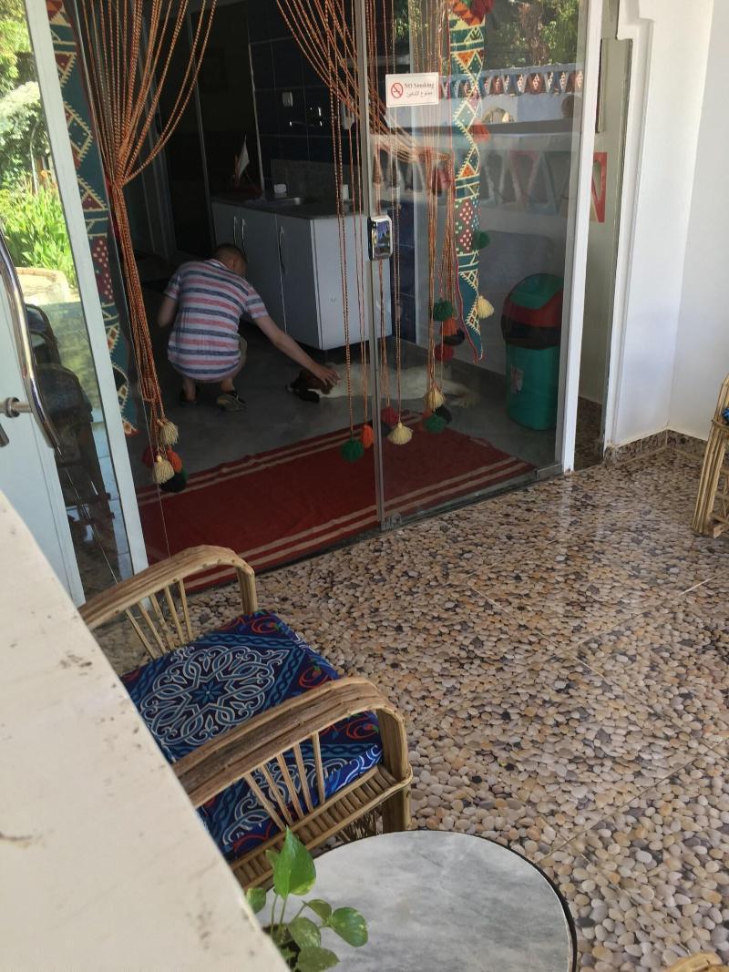 The Mango Guest House Aswan Ngoại thất bức ảnh