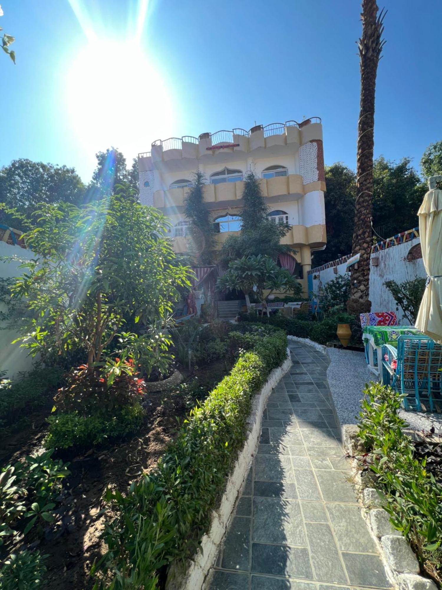 The Mango Guest House Aswan Ngoại thất bức ảnh