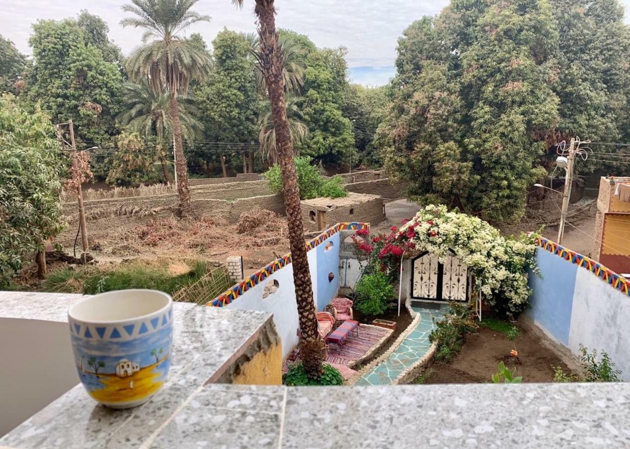 The Mango Guest House Aswan Ngoại thất bức ảnh