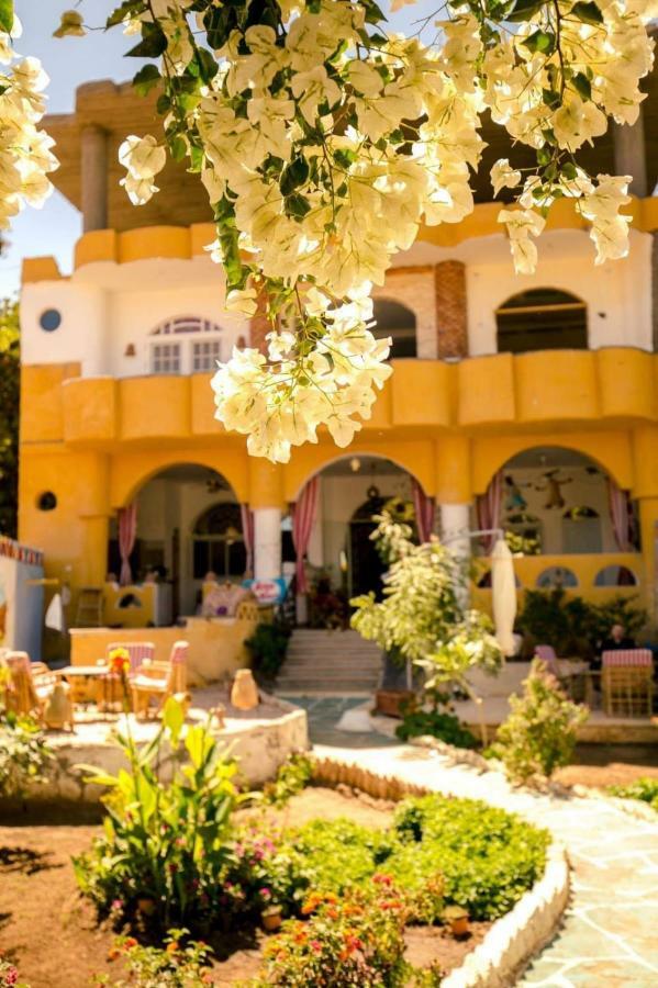 The Mango Guest House Aswan Ngoại thất bức ảnh